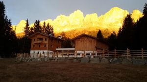 Die schottische Hochlandrinderzucht unterm Rosengarten Südtirol