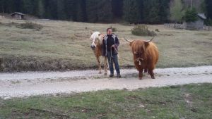 Passeggiata di primavera! Passeggiata di primavera!