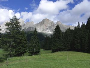 Die schottische Hochlandrinderzucht unterm Rosengarten Südtirol