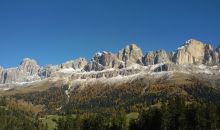Immagini mucche Scozzesi dal Catinaccio in Alto Adige  Hochlandrinderzucht Südtirol Schottische Hochlandrinder vom Rosengarten | Plank Dieter 