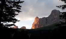 Immagini mucche Scozzesi dal Catinaccio in Alto Adige  Hochlandrinderzucht Südtirol Schottische Hochlandrinder vom Rosengarten | Plank Dieter 