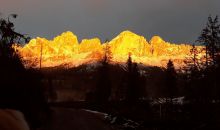 Immagini mucche Scozzesi dal Catinaccio in Alto Adige  Hochlandrinderzucht Südtirol Schottische Hochlandrinder vom Rosengarten | Plank Dieter 