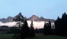 Immagini mucche Scozzesi dal Catinaccio in Alto Adige  Hochlandrinderzucht Südtirol Schottische Hochlandrinder vom Rosengarten | Plank Dieter 