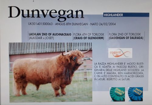 Angus 8TH Dunvegan