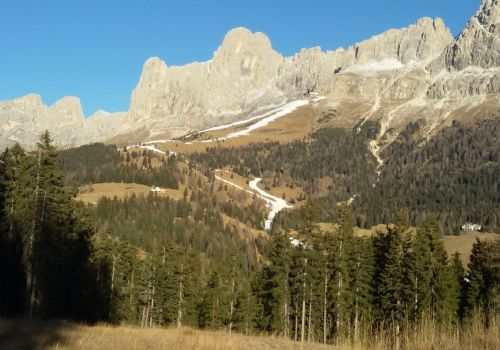 Bildergalerie Hochlandrinderzucht vom Rosengarten - Südtirol Hochlandrinderzucht Südtirol Schottische Hochlandrinder vom Rosengarten | Plank Dieter 